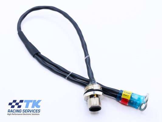 TK1044 - In tank fuel pump loom